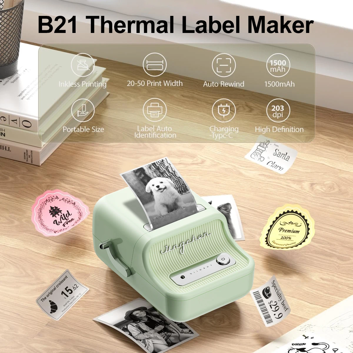 Niimbot B21 Mini Adhesive Label Printer Wireless Portable Thermal inkless Maker Photo Papers Barcode Price Tag Sticker For Home