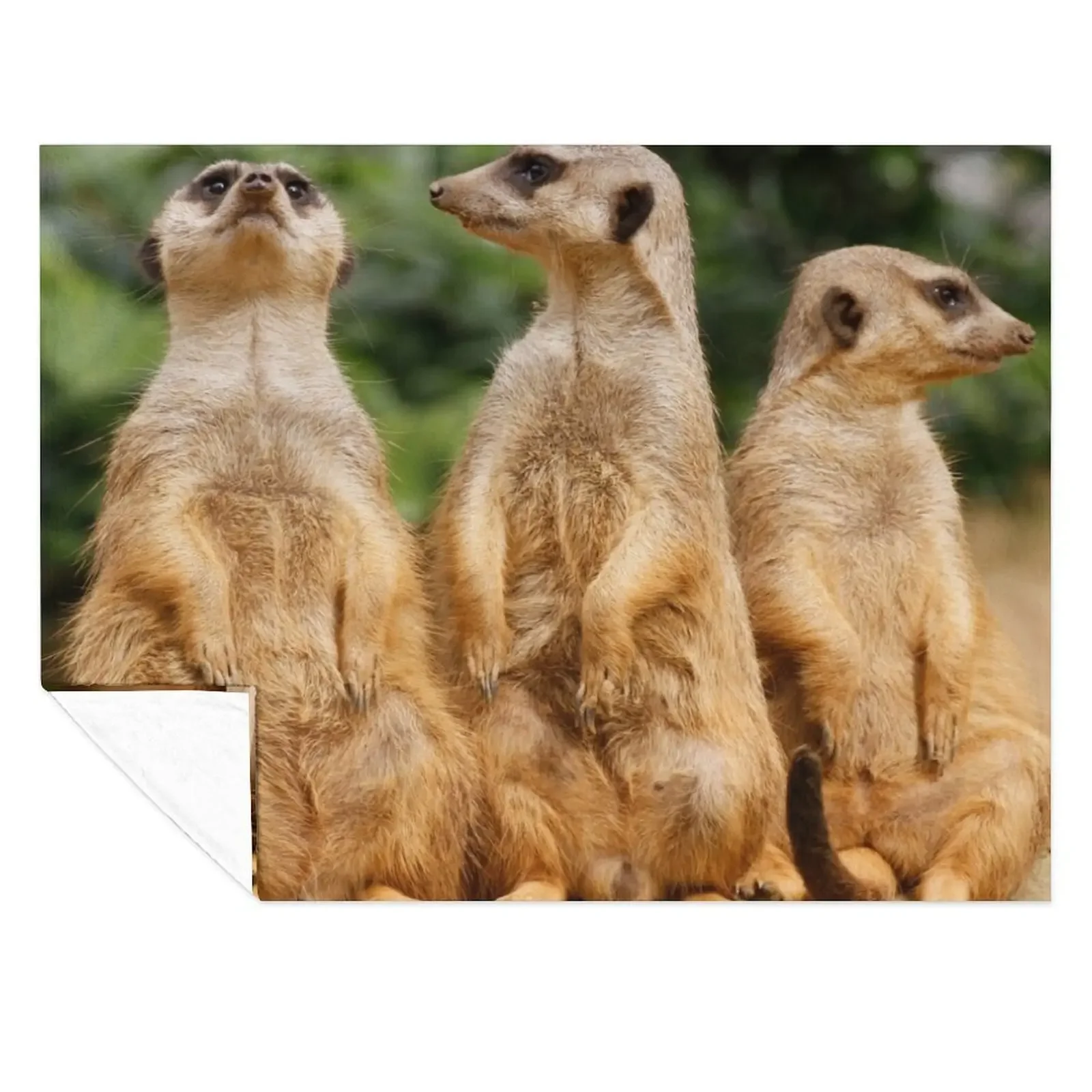 

Meerkat 074 Throw Blanket Decorative Sofa Shaggy Plush Blankets For Baby Blankets