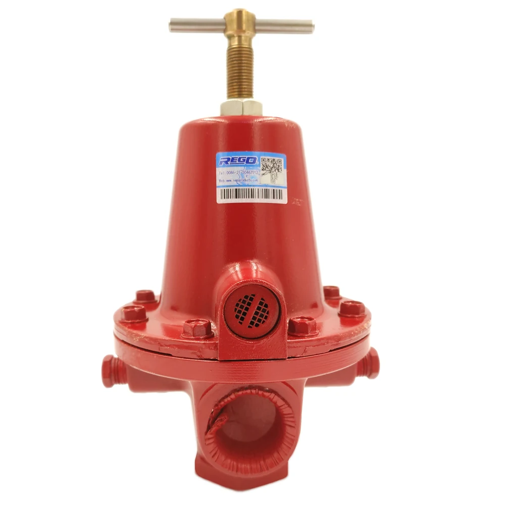 

REGO 1588VN LPG Burners Medium and High Industrial Pressure Reducing Valve Vaporizing Furnace Regulator DN25 250kg/h