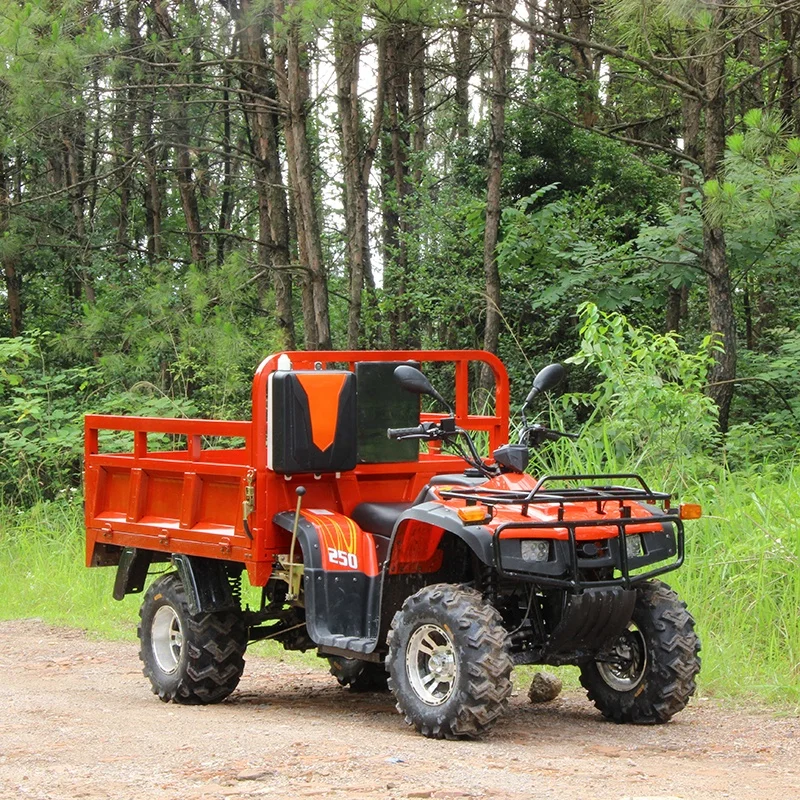 Updated Version250cc Cheap Commercial Displacement Cargo ATV 4x4 Adult Farm Motorcycle Trucks Atv Trailer
