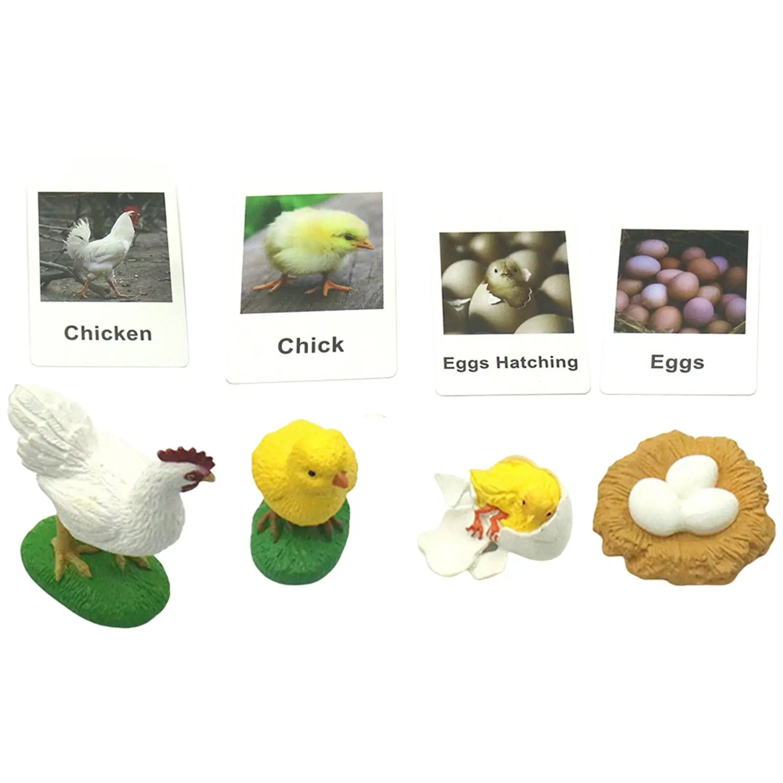 Cycle Figurines Chick Miniature Chicken Hen Egg Figurines Figures for School