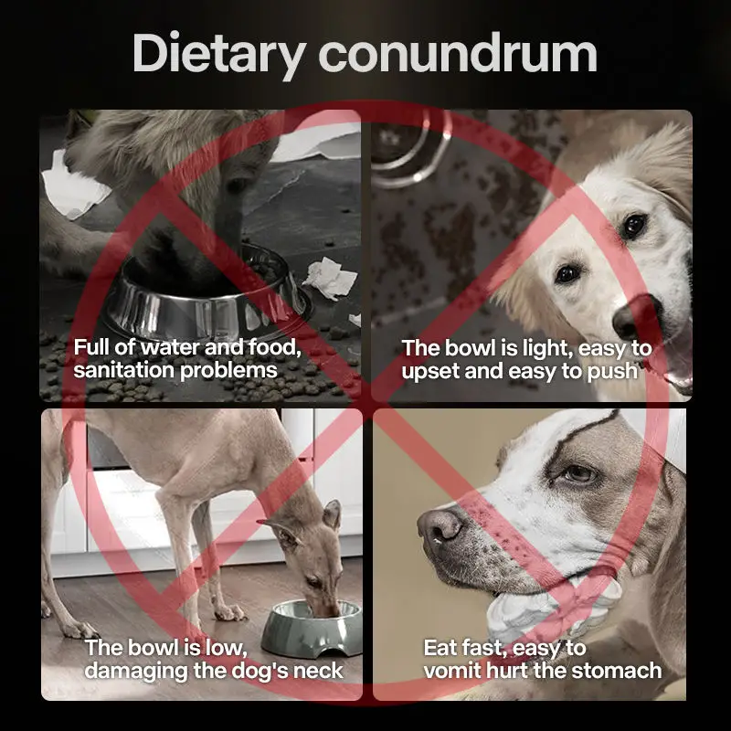 Thumbnail 2 - #39 Popular Stainless Steel Dog Bowls Choices