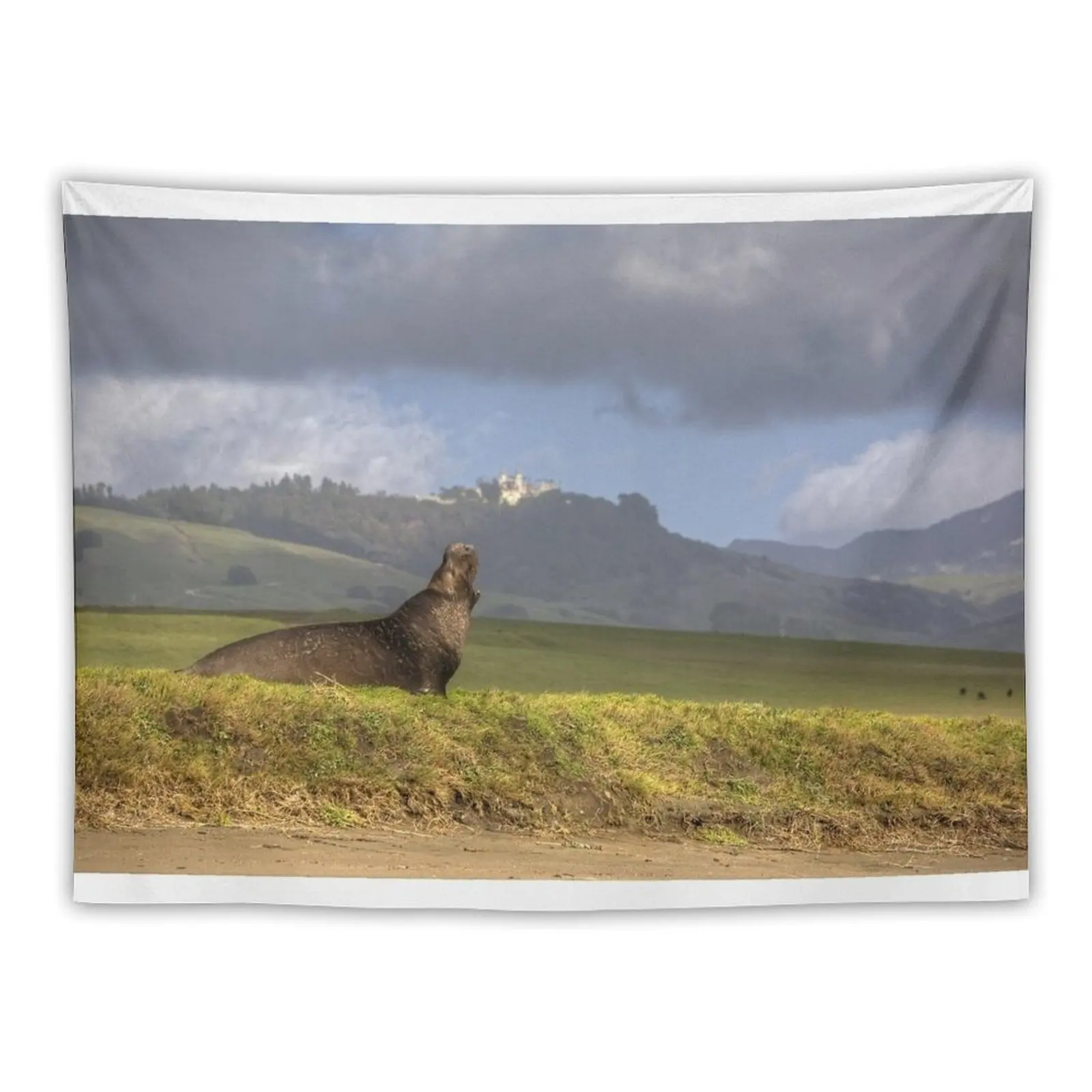 

Hearst Castle Elephant Seal Tapestry Room Decore Aesthetic Wall Decoration Tapestry