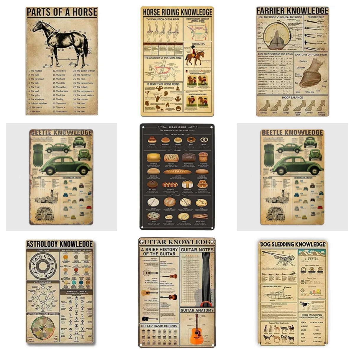 دليل خبز Veidsuh Appaloosa ، معرفة الحصان ، الدليل الأساسي لمحبي الخبز ، علامة قصدير معدنية لمعرفة الخنفساء ، 16 × 12 بوصة