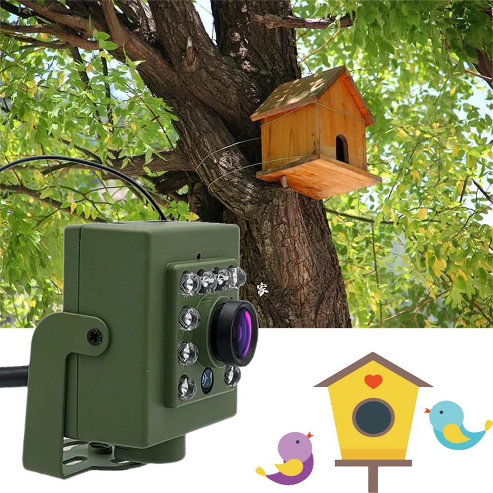 Green Wifi Bird Box Camera Audio 1920P 1080P IR CUT Night Vision RTSP FTP Mini IP IPC Pet Nest Bird Watching 2.8mm lens Camhi