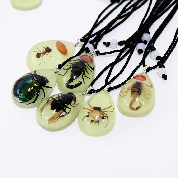 

10pcs New Simple Insect Specimen Pendant Necklace Creative Luminous Insect Resin Jewelry Pendant Jewelry Gift
