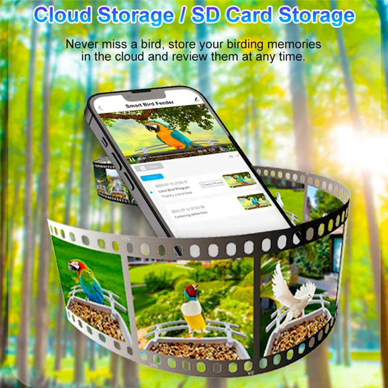 Bird Feeder Video Camera With Solar Panel Wifi Wireless Outdoor Solar Camera Motion Detection Bird Watching Camera