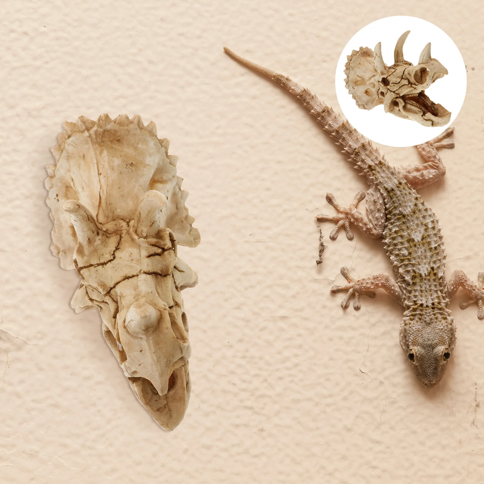 

Resin Dinosaur Skull Hideout Cave for Reptile Tank Decor Realistic Artificial Shelter for Bearded Dragon Chameleon Snake Turtle