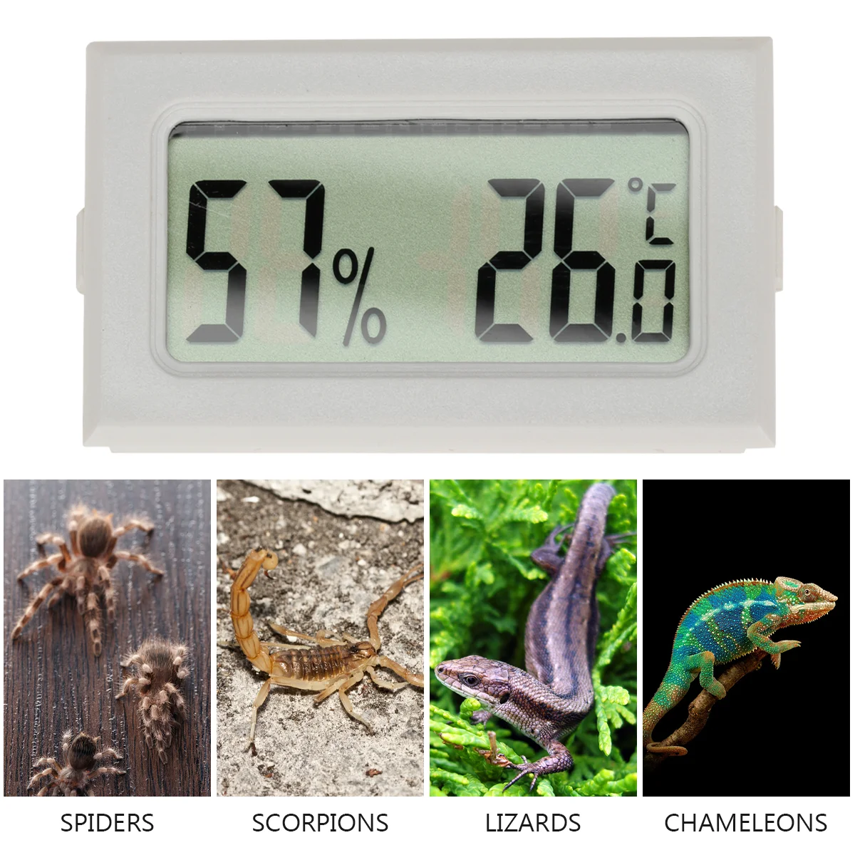 Indoor Humidity Meter Digital Hygroscope Reptile Thermometer Hygrometer Electronic