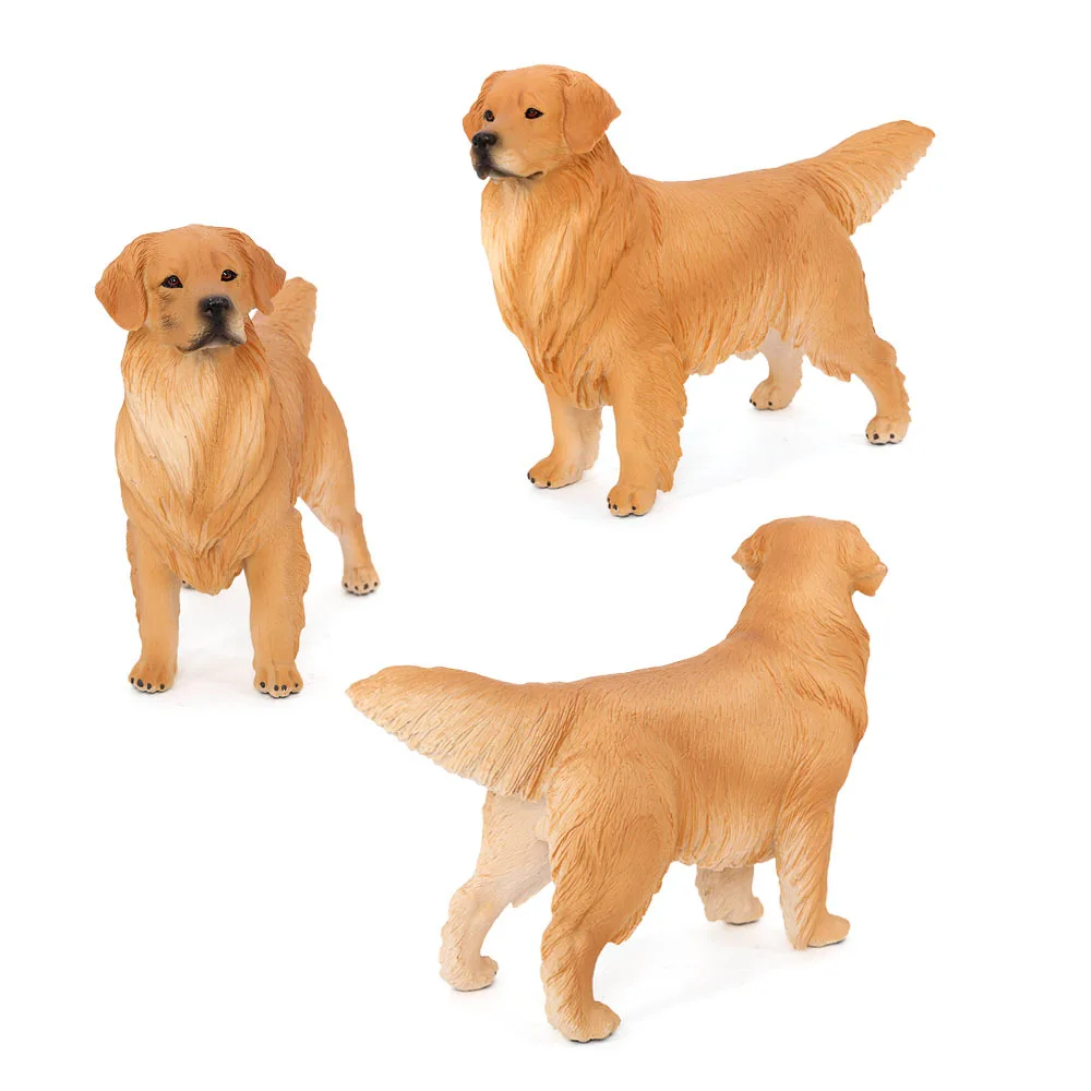 Solid simulation animal dog model big golden retriever pet dog science and education model children's gift toy ornament