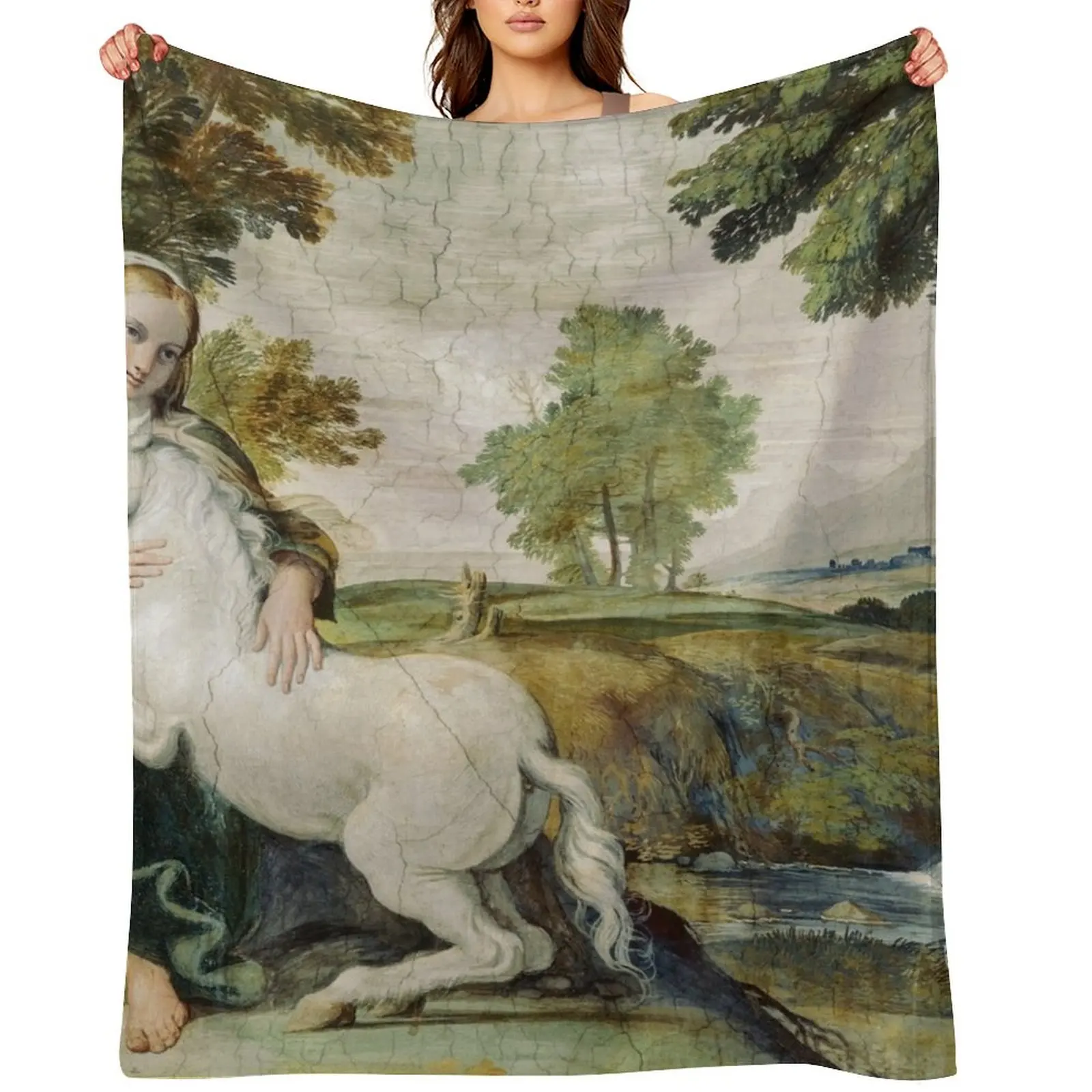 

THE MAIDEN AND THE UNICORN IN LANDSCAPE Throw Blanket Comforter For Sofa Thin Decorative Sofa Thermals For Travel Blankets
