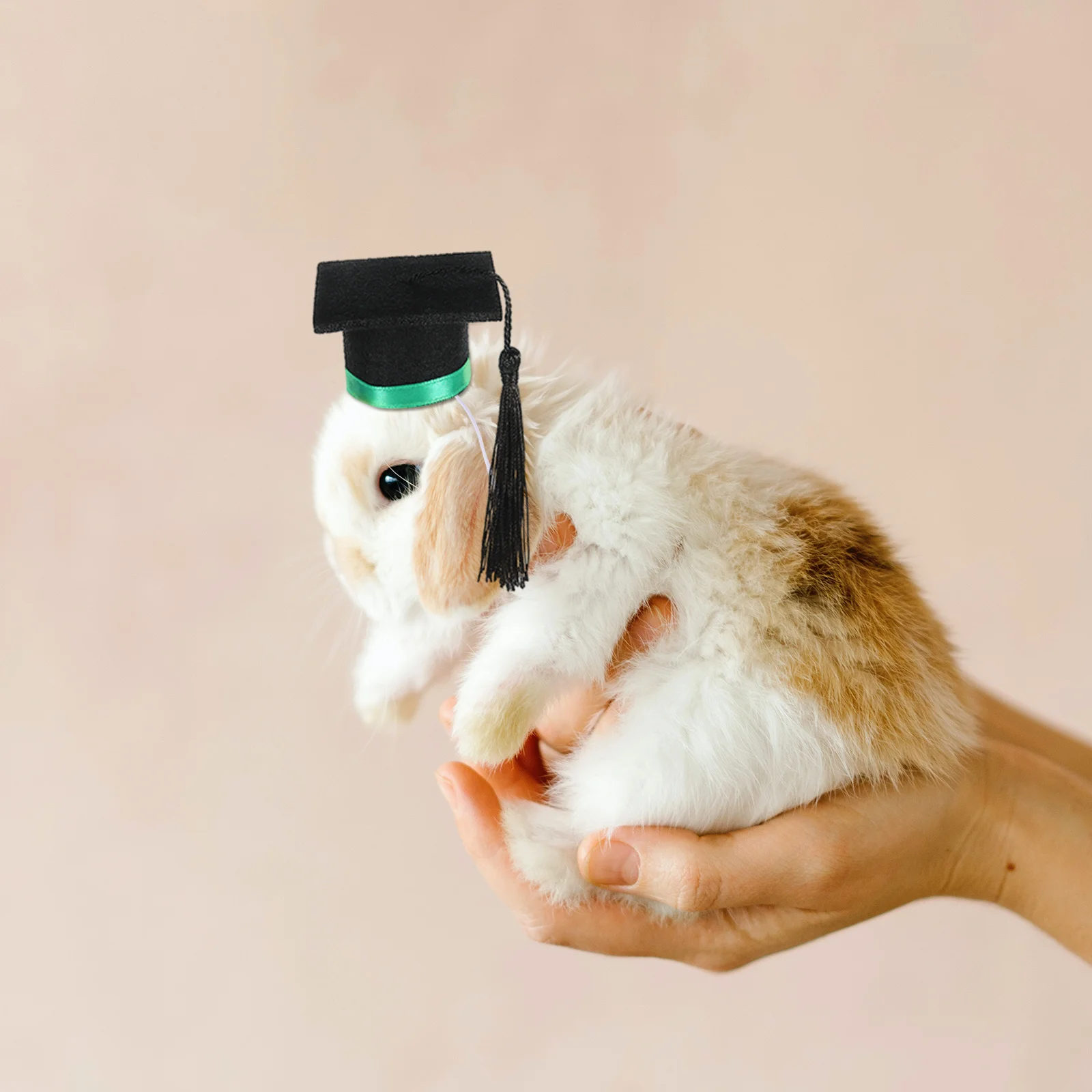 

Mini Small Pet Graduation Cap Felt Hamster Graduation Hat Lightweight Photo Prop Small Animal Party Supply Hamster Hat