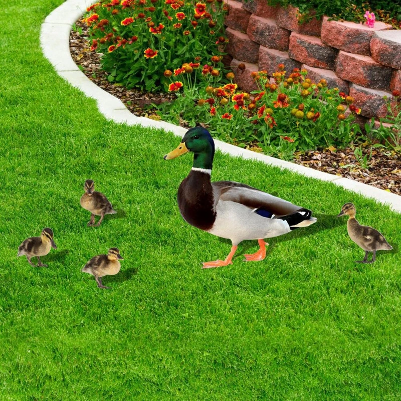 Decoração ar livre patos sinais gramado para jardim quintal para decoração criativa dropshipping