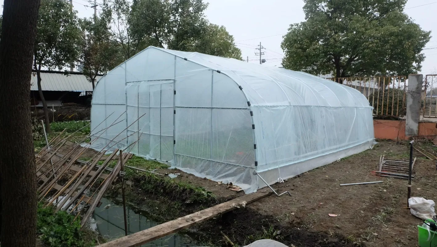 トマト用温室 シングルスパン PEフィルム 野菜用温室