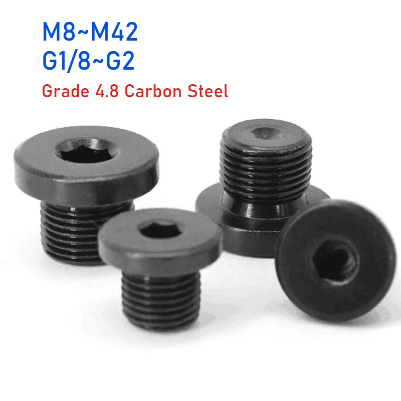M8~M42 G1/8~G2 Grade 4.8 Carbon Steel Metric/Imperial End Plug Cap With Washer Hexagonal Flange Oil Plug Screw