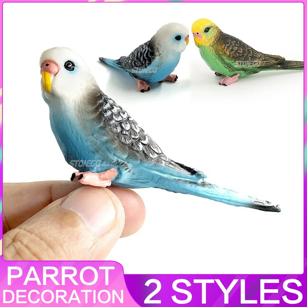 Simulation Wald Papagei Figuren Miniatur Tiermodell Vogel Figur Fee PVC Kunststoff Handwerk Dekoration Zoo Statue Spielzeug