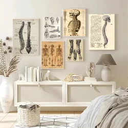 1PC Retro Human Organ System Skeleton Anatomy Poster Paper Print Home Living Room Bedroom Entrance Bar Restaurant Cafe Art