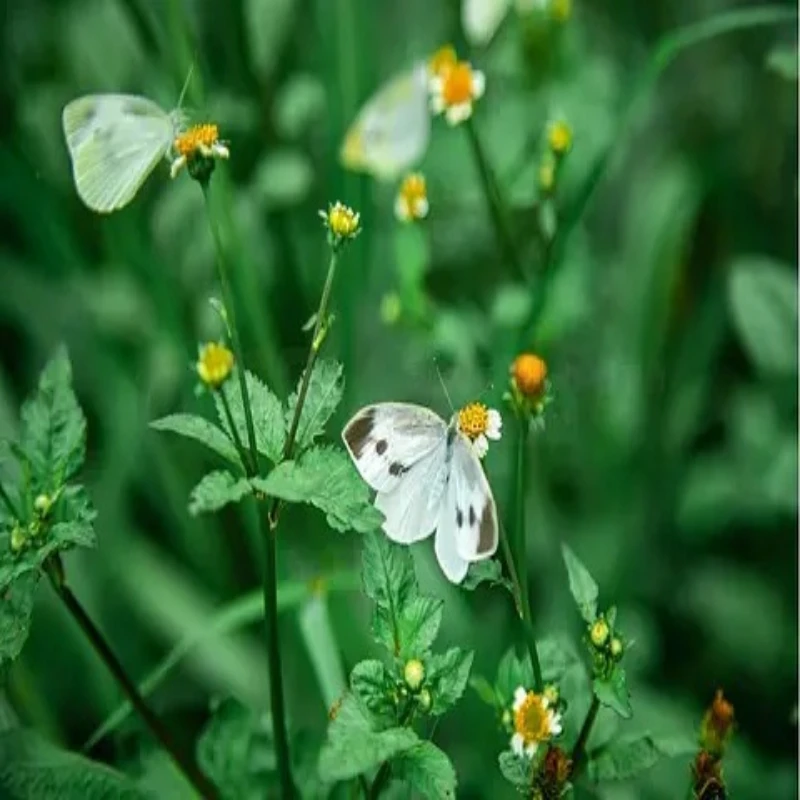 

HGLRC Rekon7 LR 324 мм 7-дюймовая рама дальнего действия с рычагом 6 мм, совместимым 7-дюймовым пропеллером из углеродного волокна 3K для деталей гоночного дрона FPV