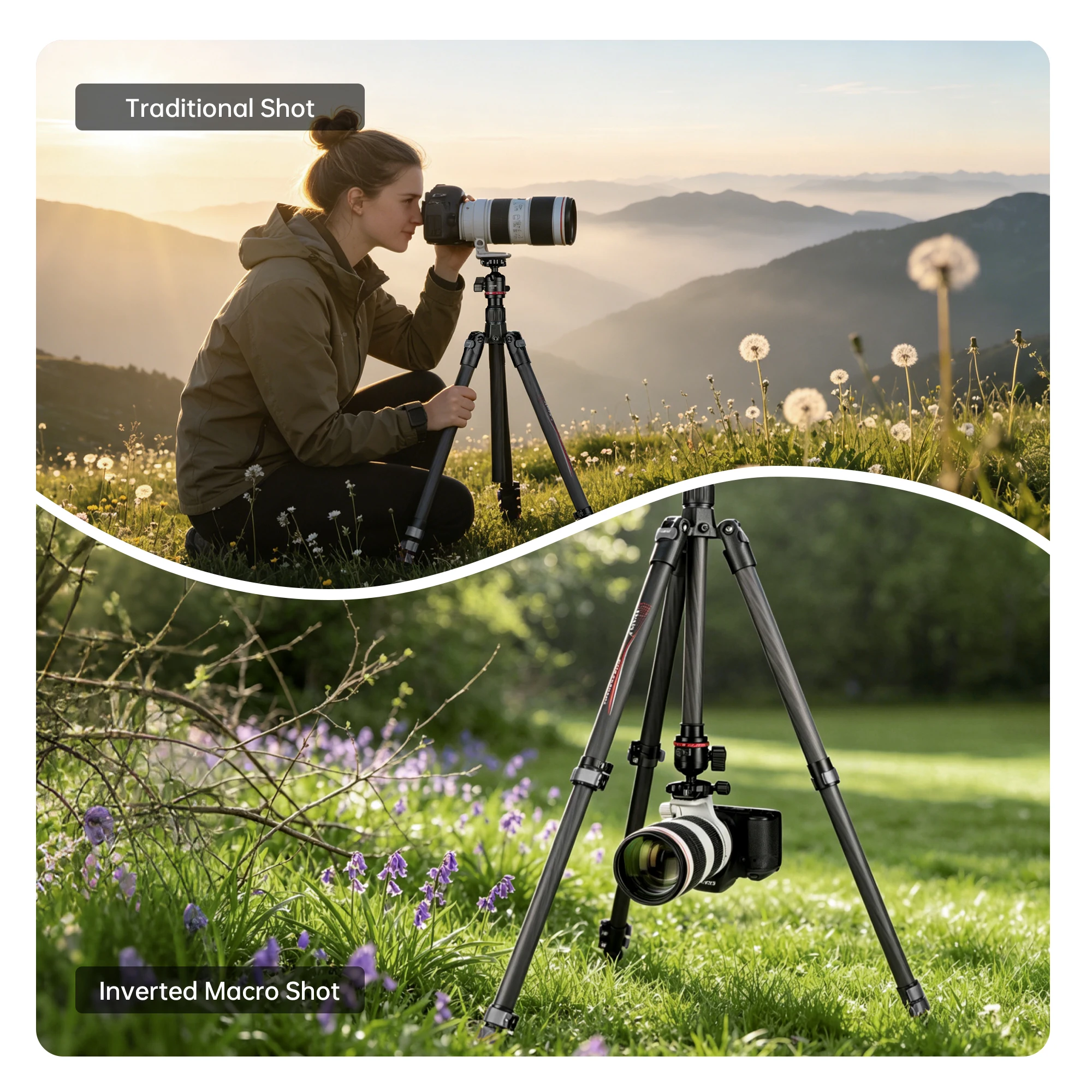 Manbily PH-20 볼헤드가 없는 전문 여행용 삼각대 25mm 튜브 야외용 경량 휴대용 사진 삼각대