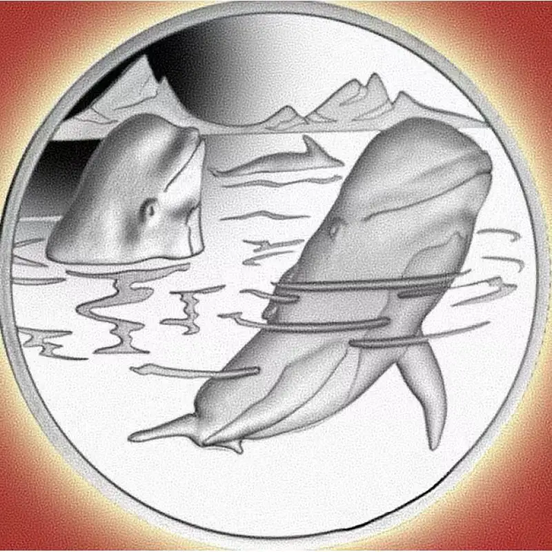 

2017 925 Sterling Silver Pilot Whale Coin - South Georgia Islands 38.6mm 28.28g Collectible Commemorative