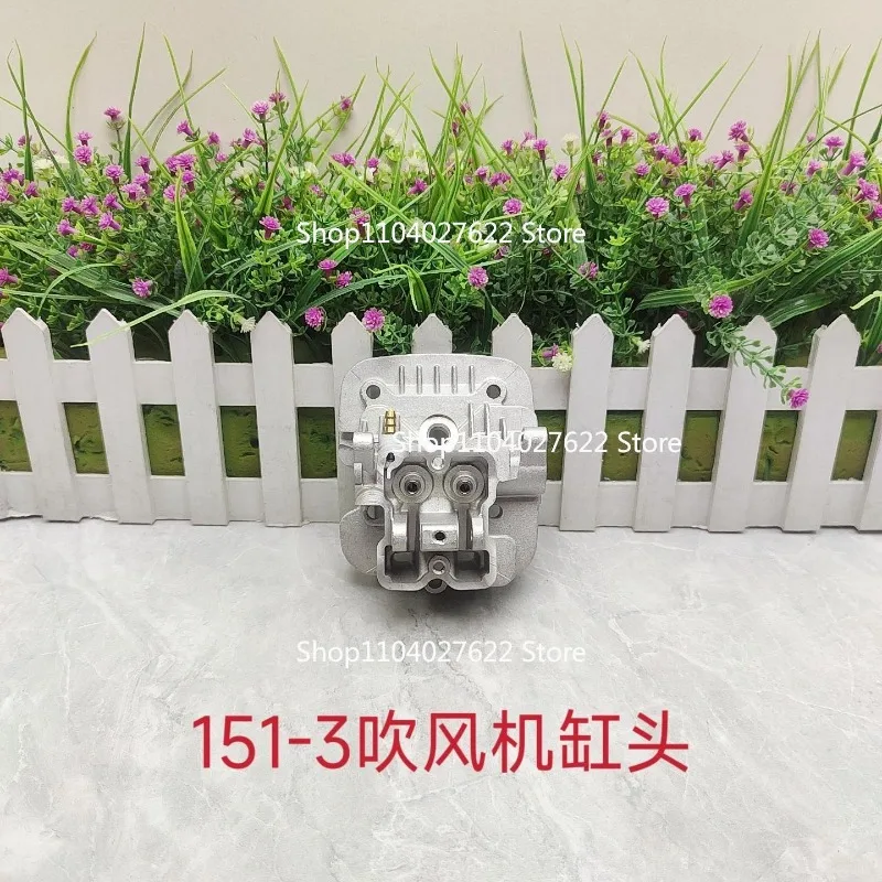 

Полный набор аксессуаров для четырехтактного фена BBX9900, аксессуары для снегоочистителя