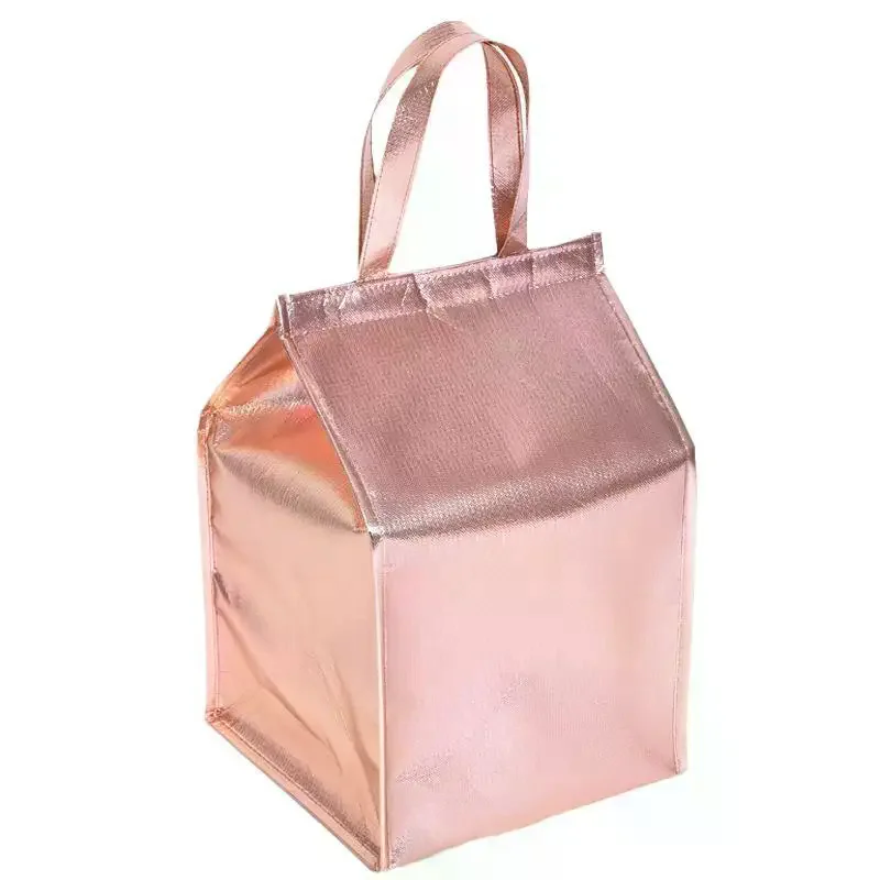 Reusable Insulated Thermal Bag Aluminum Foil Ice Storage Food Pouch Easy to Clean for Beach Party Outdoor Hiking