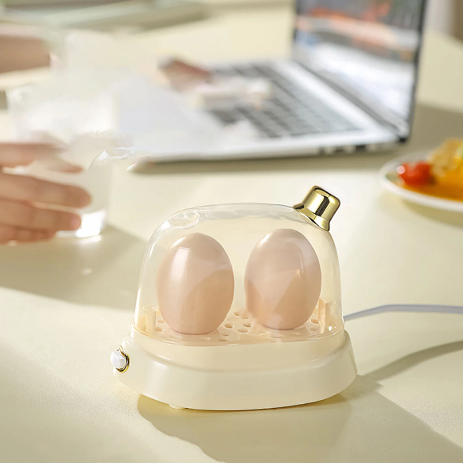 急速卵調理器 2個の卵容量 電気卵調理器 煮卵用 ポーチドエッグ 自動シャットオフ機能付き 家庭用