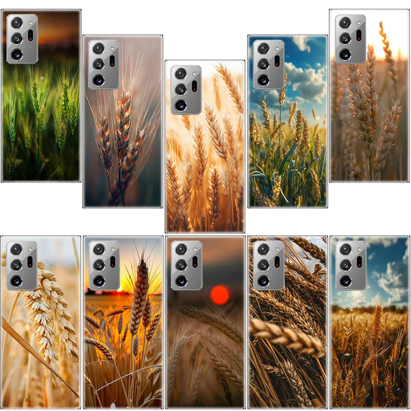 Mature Wheat Grains Phone Case For Samsung A13 A23 A33 A53 A73 A52S 5G A05S A04S A02S A03S Galaxy A72 A52 A42 A32 A22 A12