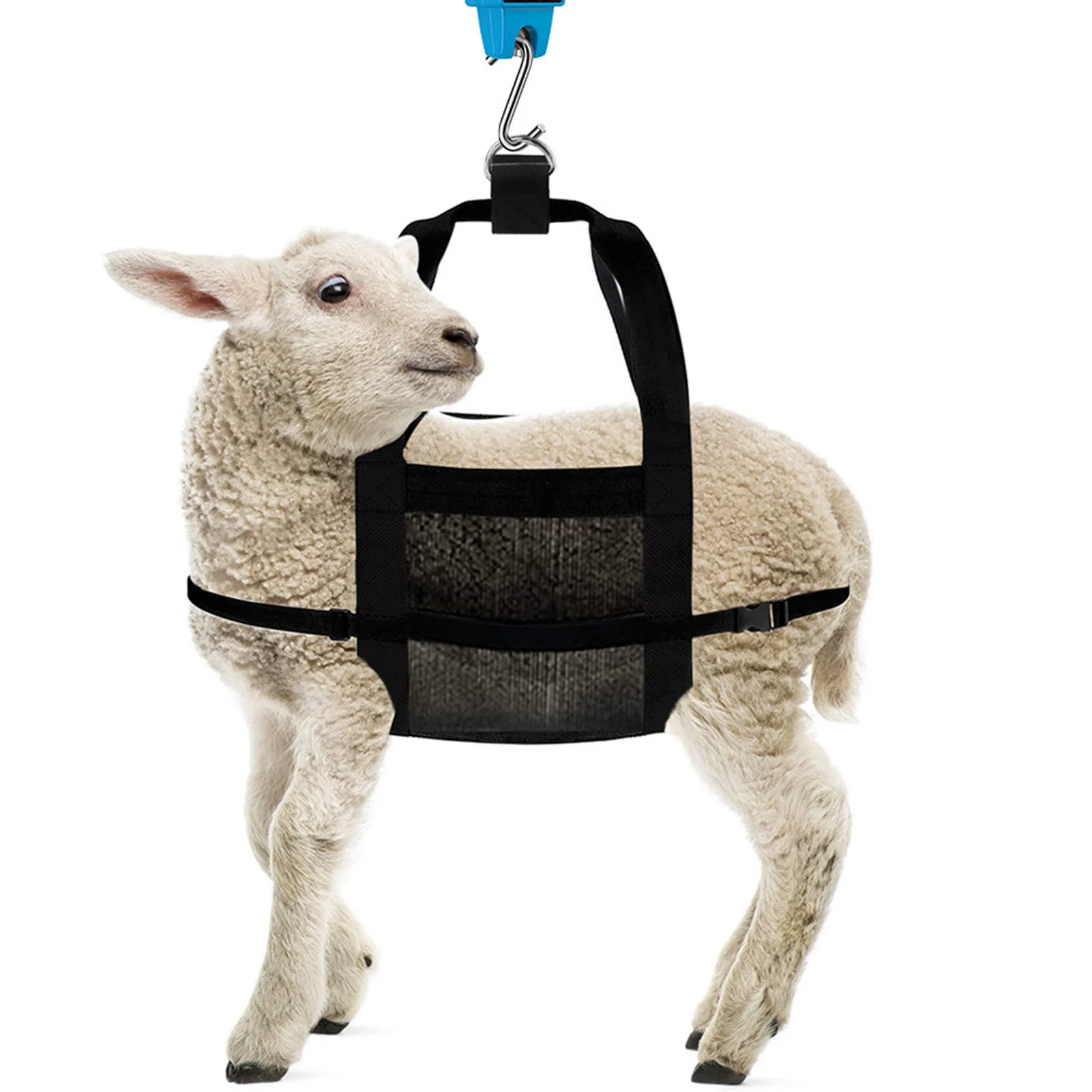 

Weighing Scale Sling Calf Sling For Weighing Small Animals Calf Scale Hang Weight Scale Sling With Adjustable Strap For Newborn
