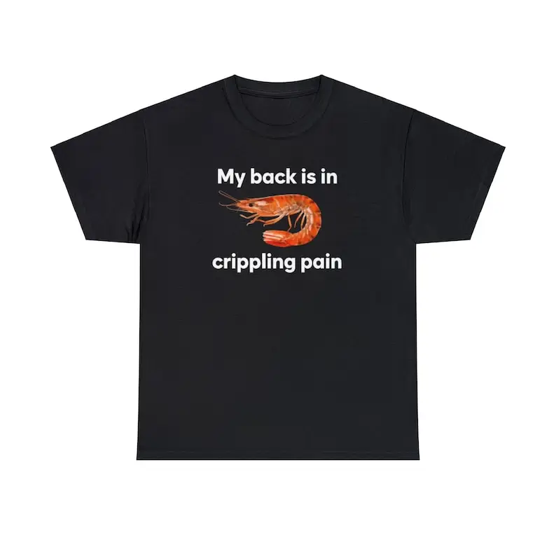 My Back Is Is In Crippling Pain Funny T Shirt Unisex