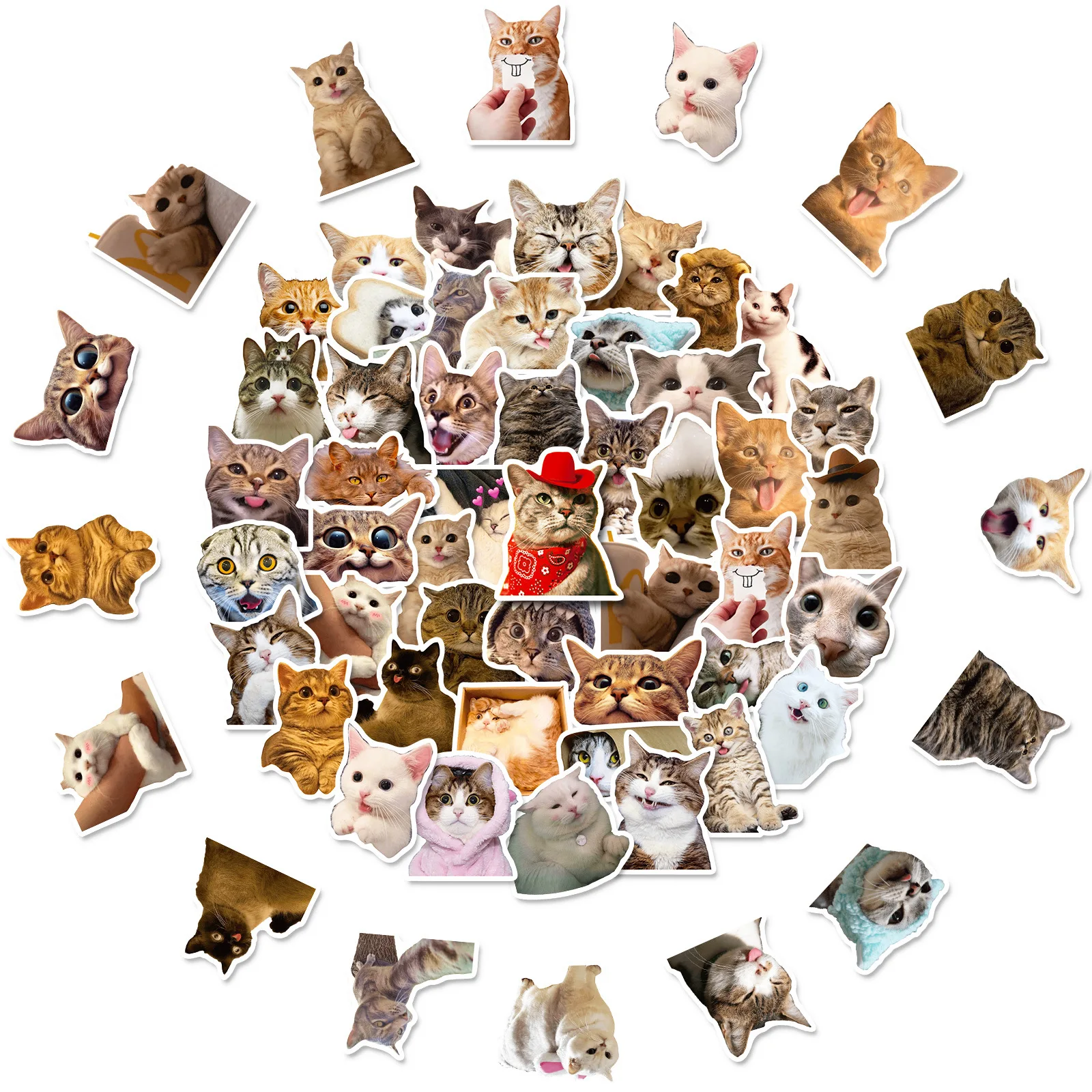 

50Pcs/Bag Cat Stickers Cute Pet Graffiti Refrigerator Helmet Luggage Refrigerator Decoration Stationery Stickers