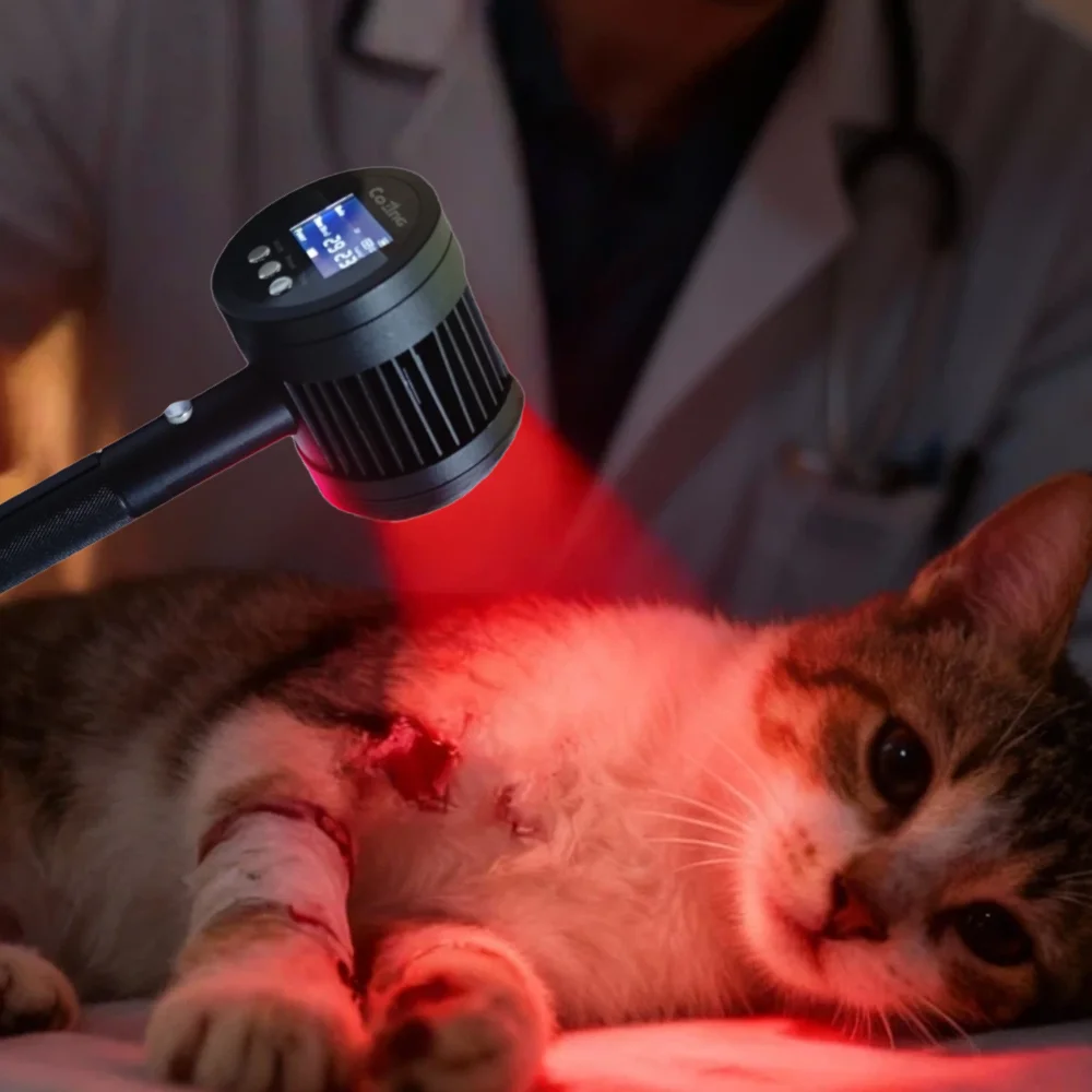 Professional Grade Dual Wavelength Laser 650nm 808nm for Horses Tendonitis Swelling Recovery