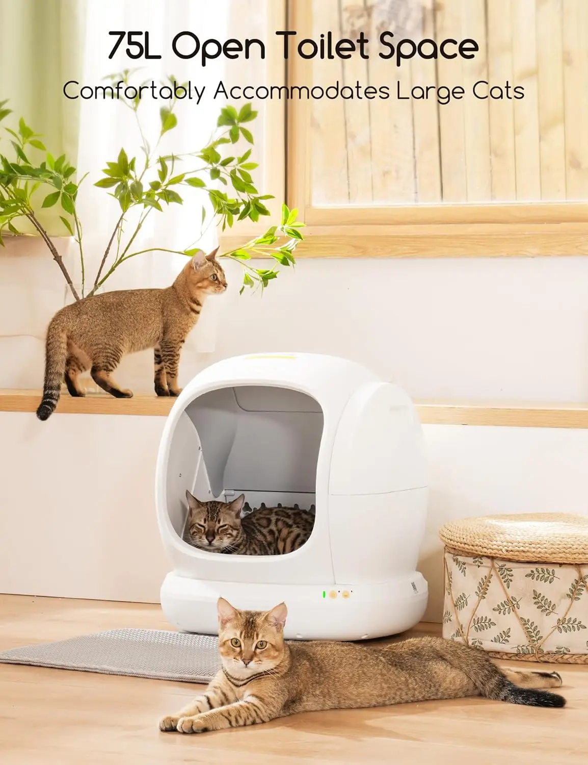 Self-Cleaning Cat Litter Bo 75L Extra Large Open Automatic Cat Litter Box for Multi Cats Integrated Safety Protection