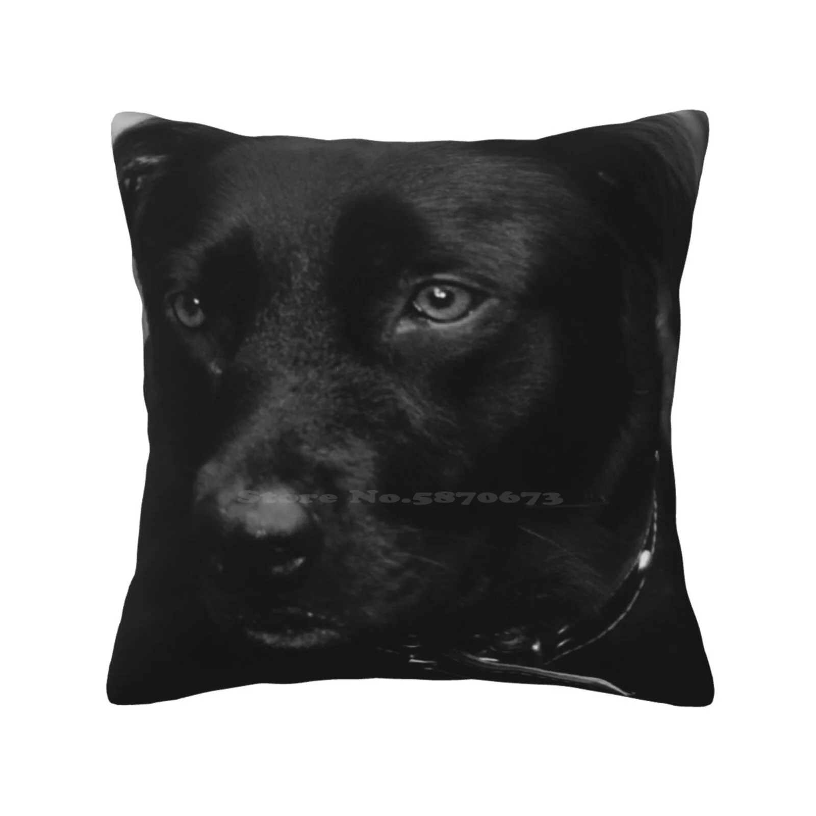 Black Labrador Portrait Bedroom Office Hug Pillowcase Pet Mutt Domesticated Animal Animal Kingdom Zoology Canis Familiaris