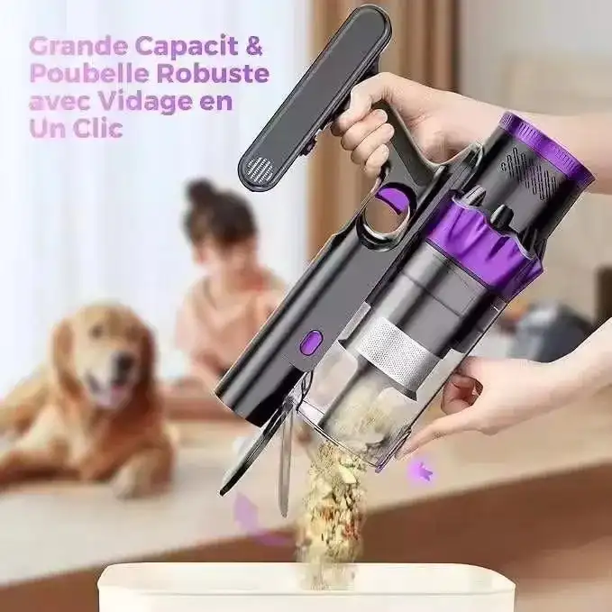 Royalstar 2025 Новый хит продаж