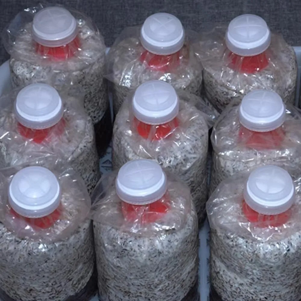 10pcs Waterproof Mushroom Spawn Grow Bag Sealable Plastic Cap Lock Ring Cultivating Edible Fungus Cover Lock Loop
