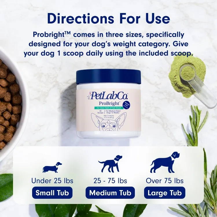 مسحوق أسنان PetLab-ProBright لتنظيف أسنان الكلاب والجير ورائحة الفم الكريهة ، أصبح سهلاً ، تمت صياغته للحجم المتوسط