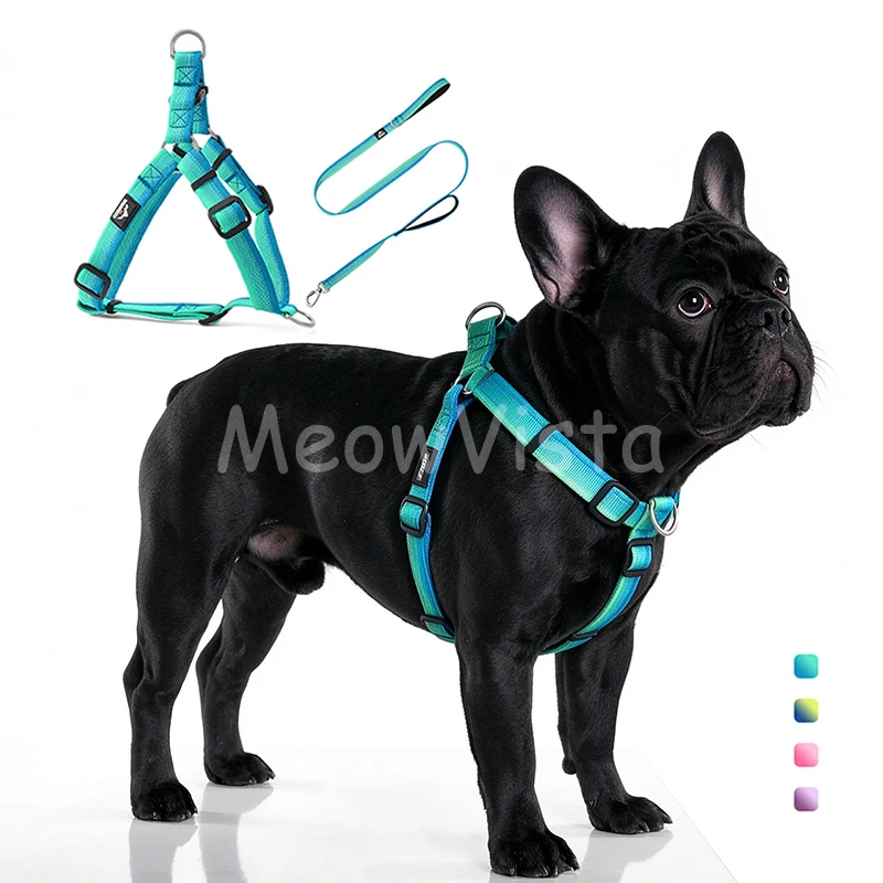 Gradient Nylon No Pull Dog Harness Leash Set Adjustable Anti-Tug Pet Chest Strap Walking Training Harness for French Bulldog