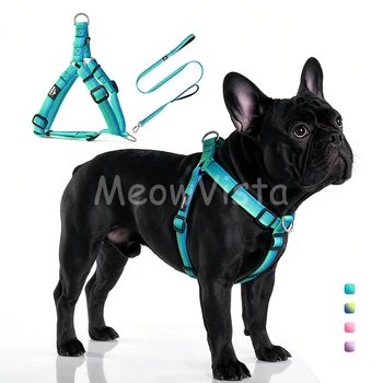 Gradient Nylon No Pull Dog Harness Leash Set Adjustable Anti-Tug Pet Chest Strap Walking Training Harness for French Bulldog