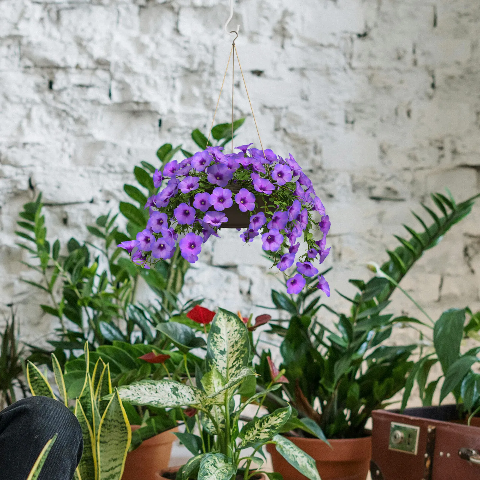 2 conjuntos de ganchos de teto - Hanging Planter Basket avaliação e preço