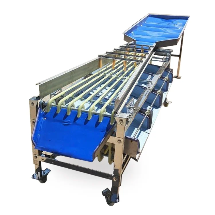 

Potatoes Garlic Cherry Plum Dates Cashew Pineapple Sorter Sorting Grading Machine for Vegetable Fruit