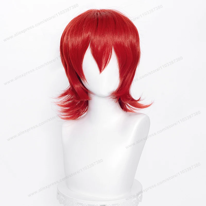 Synthetic Teased Style 37cm Wolf Cut Wig with Bangs High Quality Red Blue Purple Short Men Women Cosplay Heat Resistant Hair