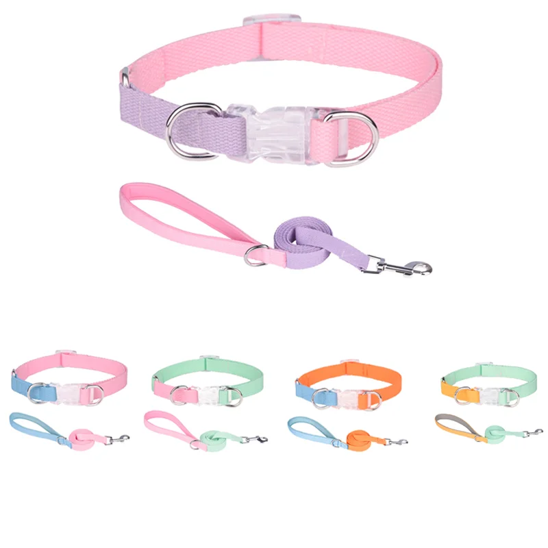 Dog collar and Leash Set Polyester Webbing with various contrasting colors  Adjustable Pet Collar Leash for Small Medium Dogs