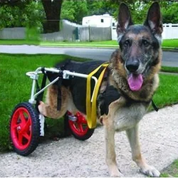 Large Dog Disability Walker Pet Wheelchair Pet Hind Limb Weaknes Paralysis Rehabilitation Training Two Wheel Scooter Wheelchai