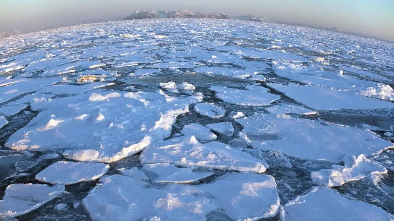 TIMEA F405 V3 3-6S 30X30 FC & ESC FPV Stack BMP280 وحدة تحكم في الطيران BLHELIS 50A 4in1 ESC لنموذج الطائرة بدون طيار الحر VS SpeedyBee #1