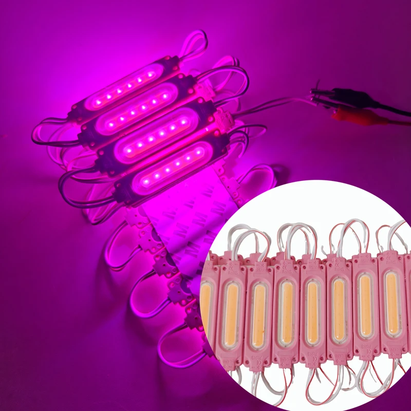 20pcs Injection With lens COB LED Module Waterproof LED Back Light 6led per pcs for sign channel letter DC12V 2W IP68