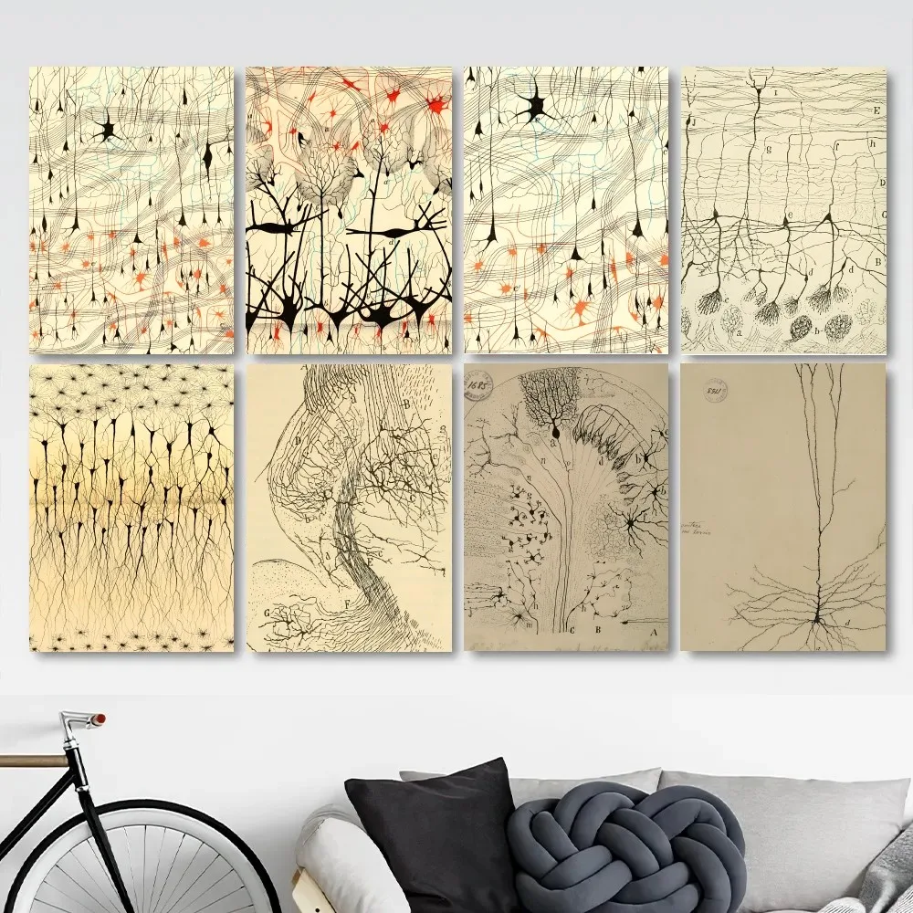 Santiago Ramon Y Cajal Neuron Drawing Poster Stickers Living Room Bedroom Entrance Cafe Wall Art Decoration Painting  Decor