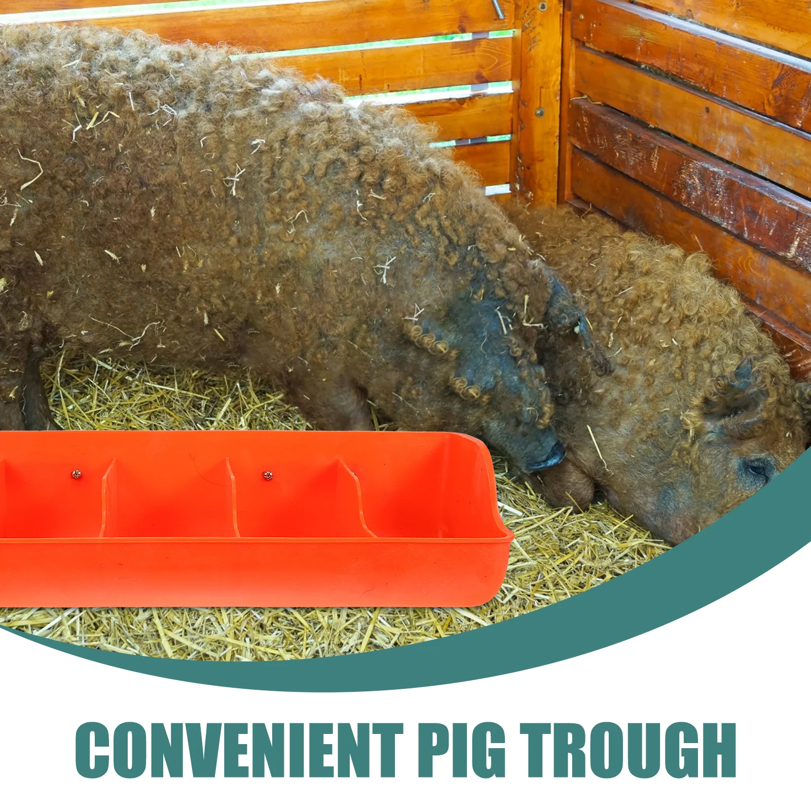 

1Set Mountable Pig Feeding Trough with Rounded Edges Multi-Compartment Sturdy Animal Feed Container for Farmhouse Livestock