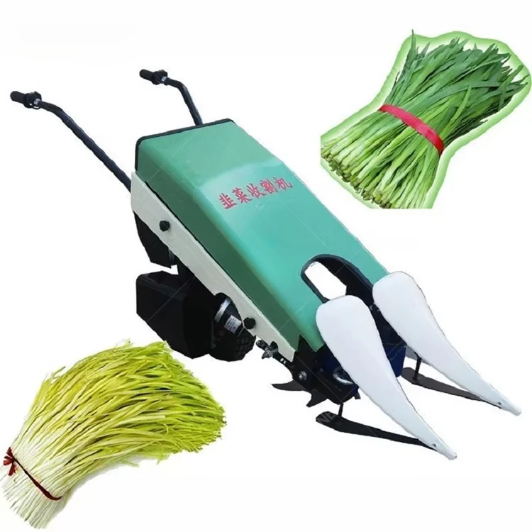 Machine de récolte professionnelle pour persil