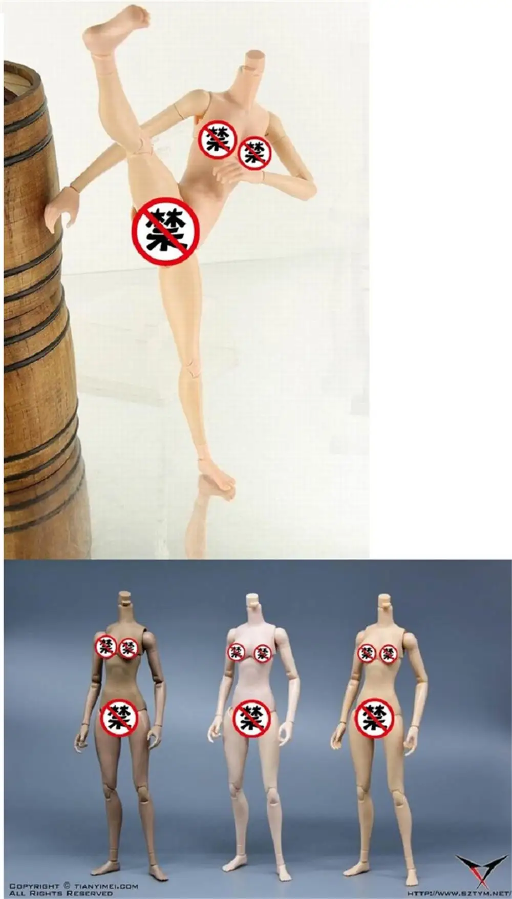 1/6th New Arrival TYM Toys Rubberized Female Action Body Figure about 27CM Can Fit Mostly 12